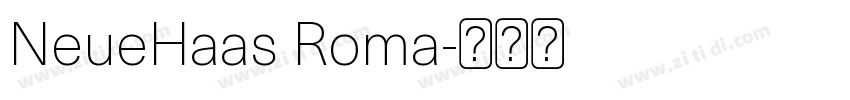 NeueHaas Roma字体转换
